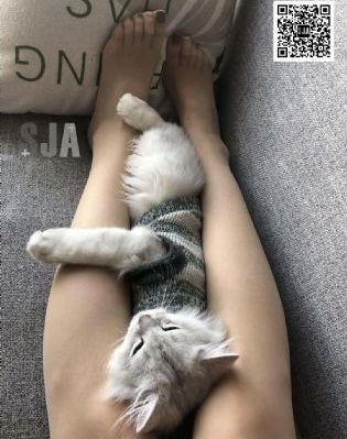 成年人免费看视频_超清免费观看视频